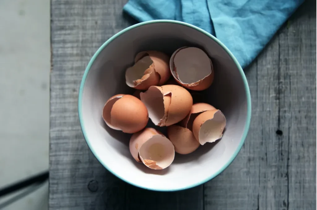 egg shell powder