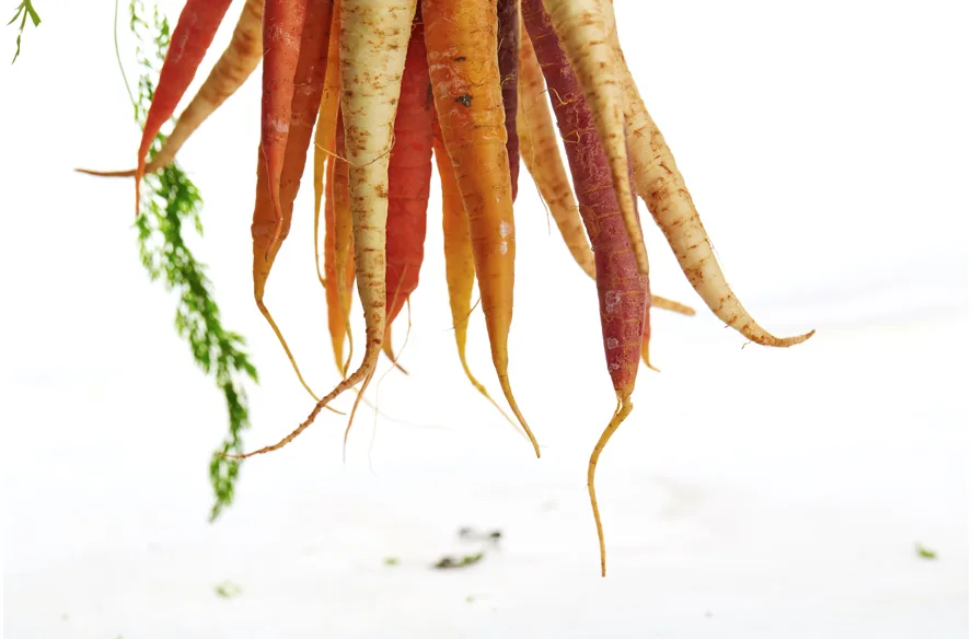 Raw carrot salad.